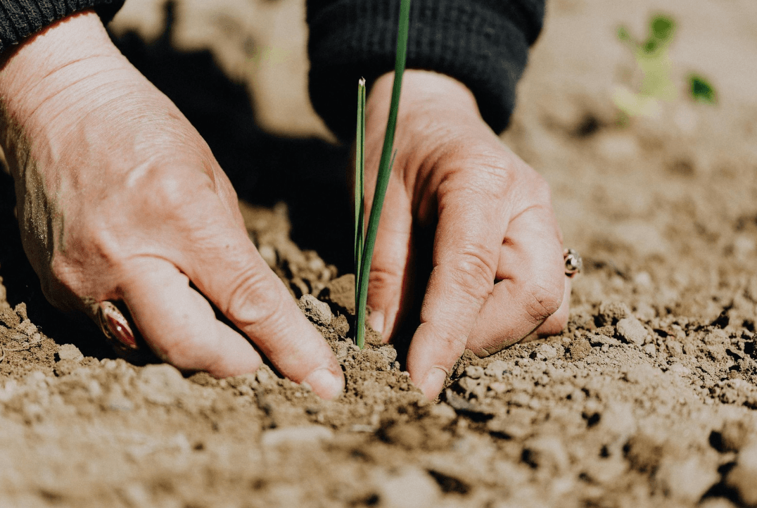 Benefits of Partnering