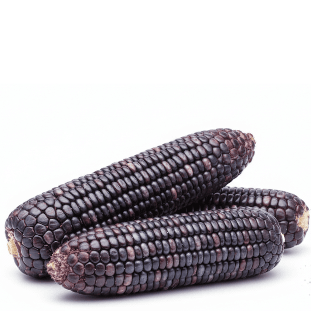 Purple Corn