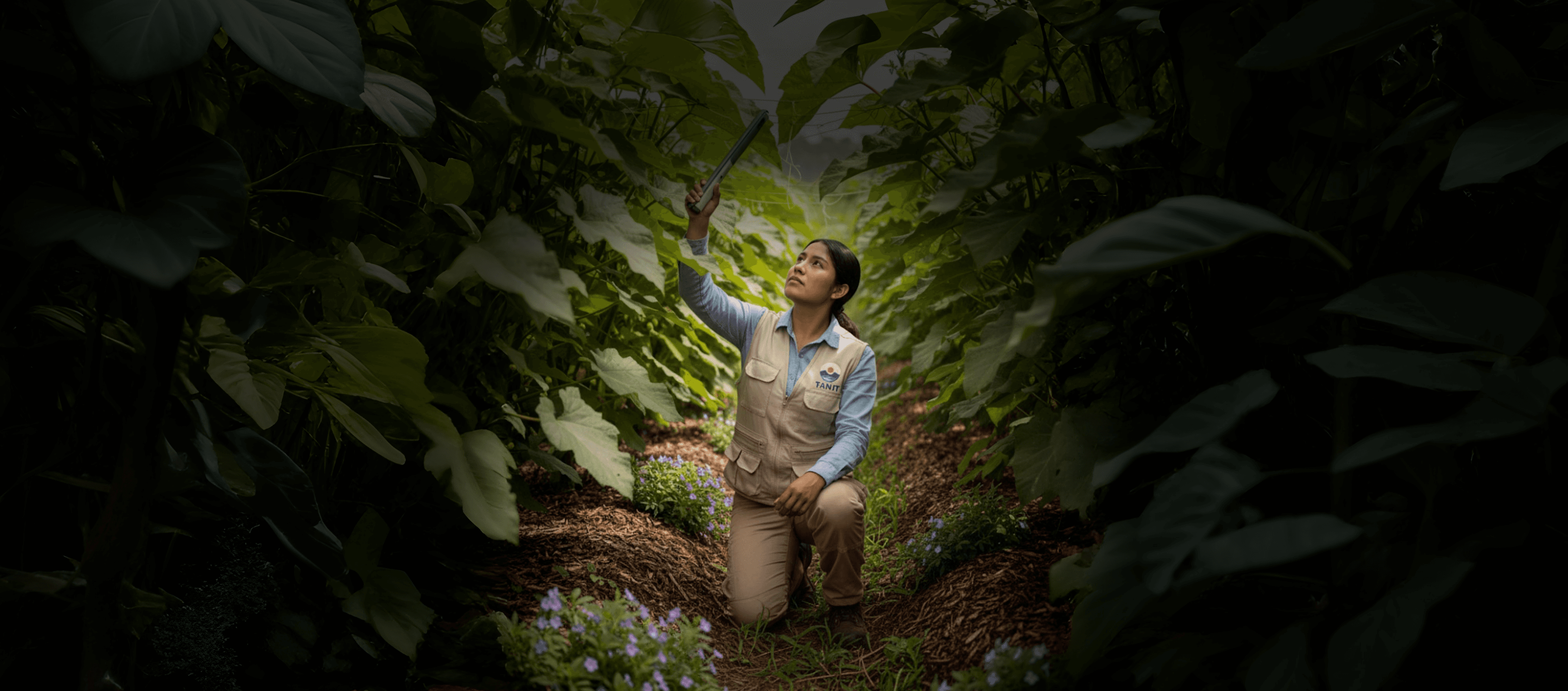 Verifiable documentation backdrop